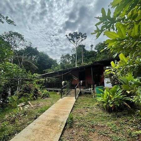 Posada Don Juan Drake Bay Luaran gambar