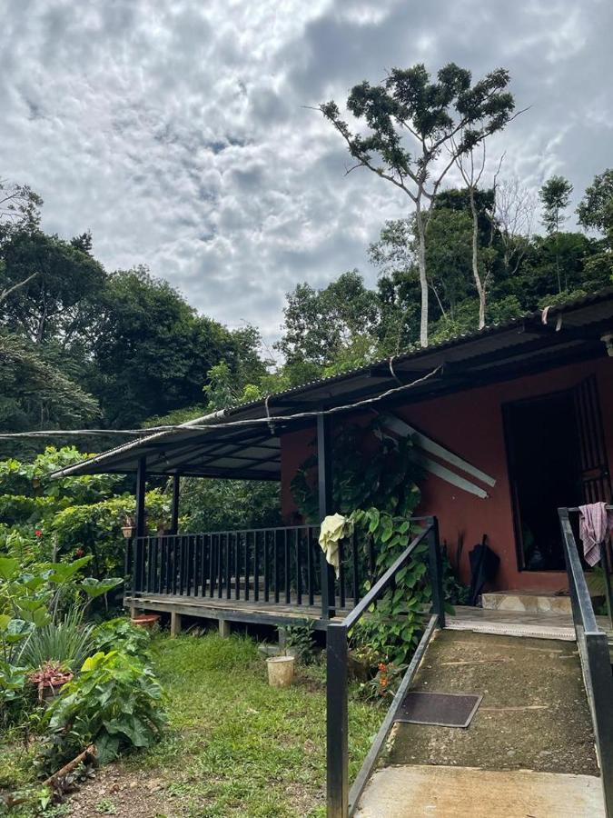 Posada Don Juan Drake Bay Luaran gambar